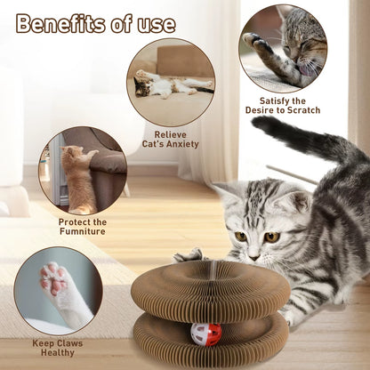 Kitty Curlz Cat Scratching Board (1/2Pcs) – Foldable, Recyclable,Scratch-Resistant Toy with Ball for Fun Interactive Indoor Play